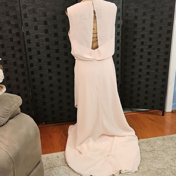 NWT Jenny Yoo Paltrow Gown Soft Blush Pink Luxe Ciffon Size 12 - Picture 6 of 14